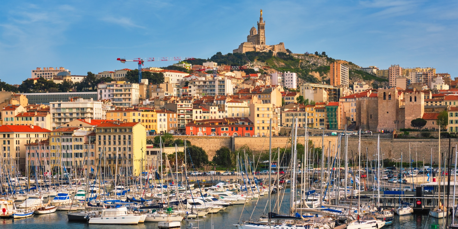 UIMM - Alpes Méditerranée_Article